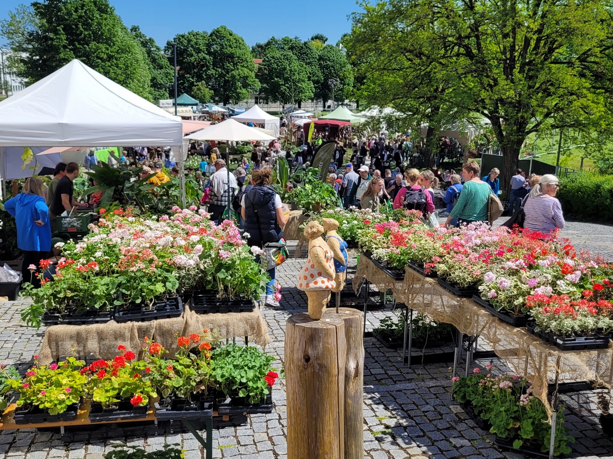 Gt FSW25 BlutenMenschen RS